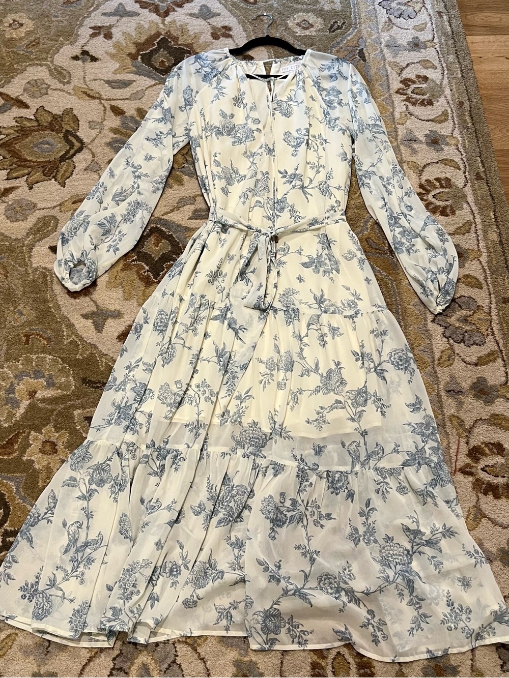 Ivy City Co Imogene Cream Maxi Dress with Blue Toile Floral Print - Picture 6 of 6